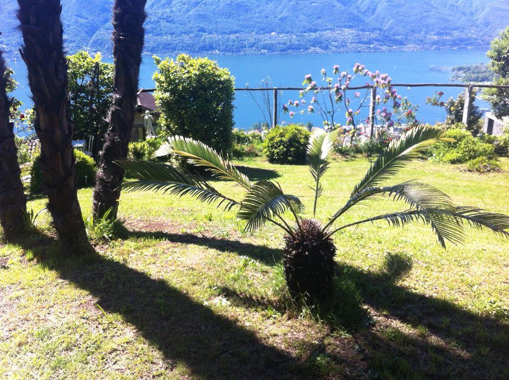 Sonnenstrahl * Locarno
